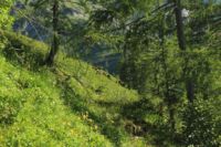 2015-07-01_1Pano-bei-Lacke (459).JPG